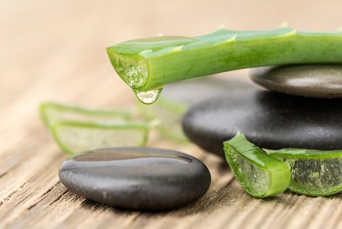 Aloe vera är en lindrande behandling