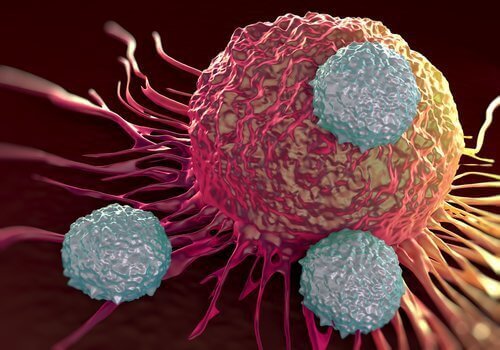basisk mat cancer