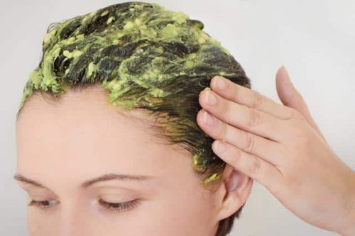 Avokado som balsam