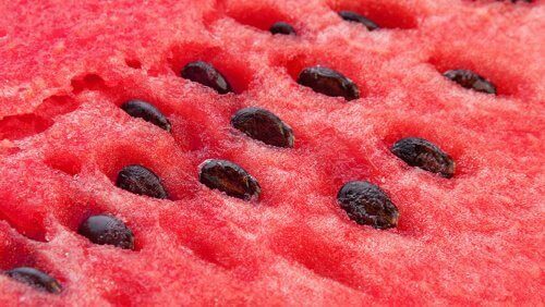Vattenmelon med kärnor