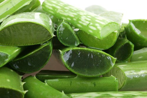 Aloe vera i skivor