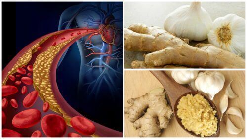 Minska blodtryck och kolesterol med ingefära och vitlök