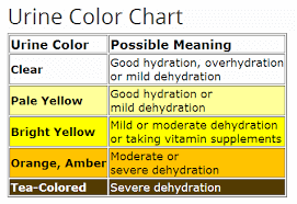 Färgskala för din urin