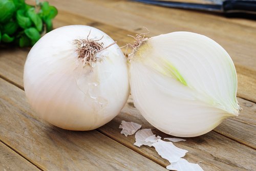 lök