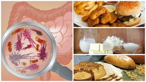 7 livsmedel som är dåliga för din tarmhälsa