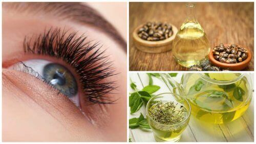 Längre ögonfransar med sju naturliga behandlingar