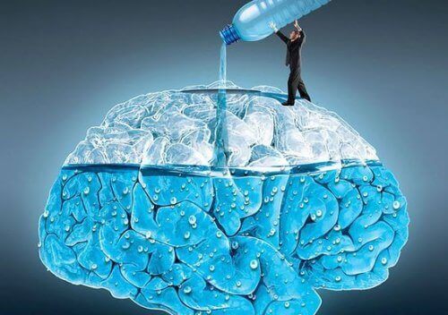5 sätt som vatten påverkar din hjärna