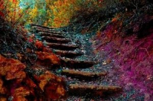 Livets stege: Förbättra dig själv dagligen med 5 steg