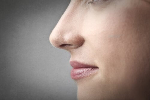 Näsan kan också påverkas av gener