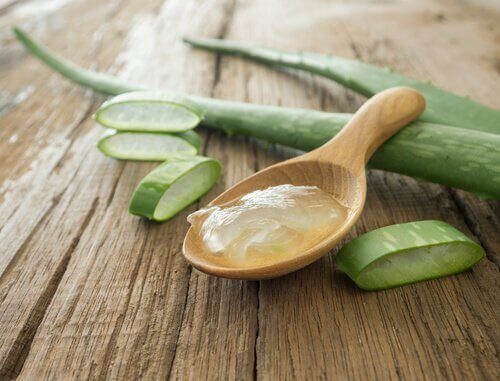 Aloe vera på slev