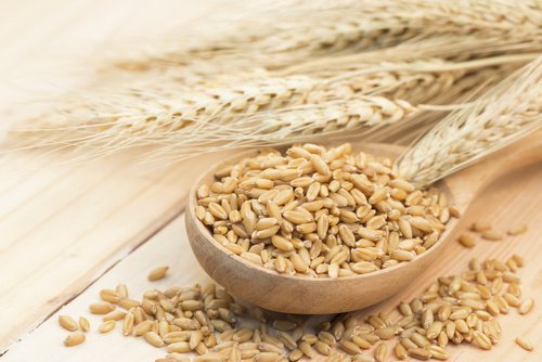 De bästa kolhydratskällorna: korn