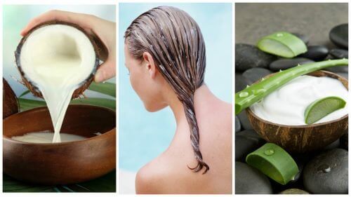 Minska håravfall med aloe vera och kokosmjölk