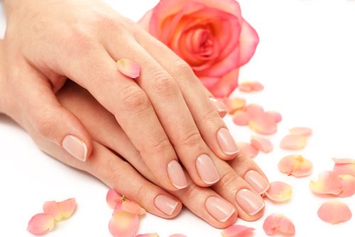 lena ungdomliga händer på rosenblad