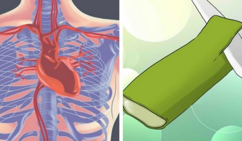 5 kraftfulla sätt aloe vera tar hand om hjärtat