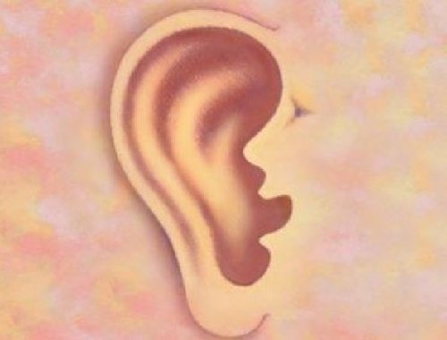 Vad dina öron säger om dig: identifiera sjukdomar
