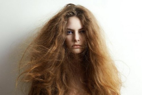 5 naturliga ingredienser för att behandla torrt hår