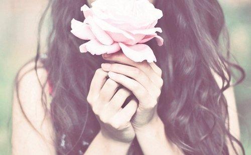 Rosa ros