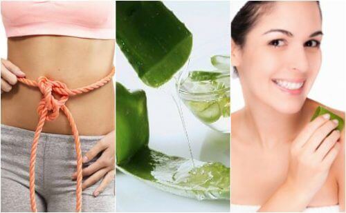 9 medicinska fördelar med aloe vera-gel