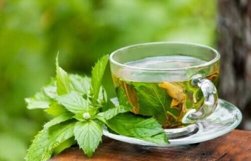 Citronmelisste