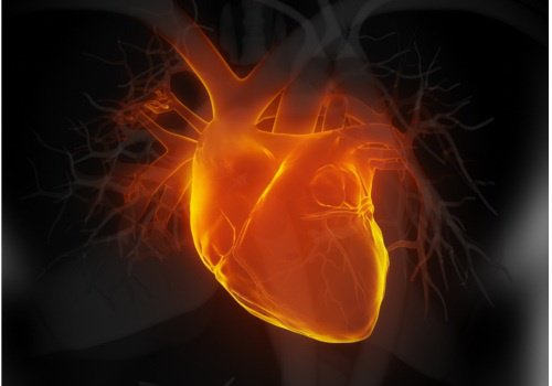 6 tidiga tecken på hjärtsvikt: upptäck i tid