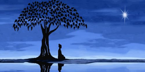 Mediterar under träd