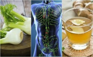 Rensa lymfsystemet med 6 naturliga kurer