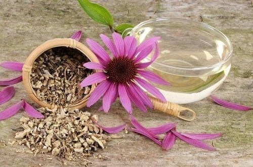 Solhatt har antiinflammatoriska, kärlvidgande och avtäppande egenskaper