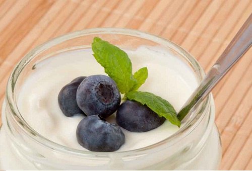 Yoghurt med blåbär