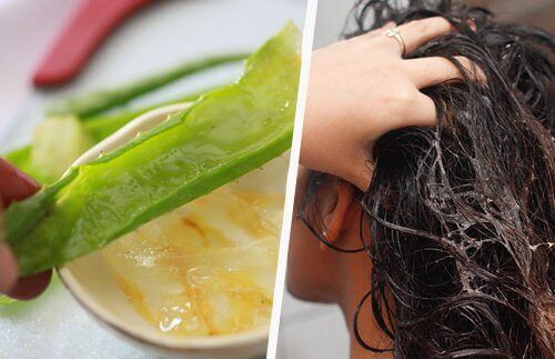 Aloe vera återupplivar ditt hår.