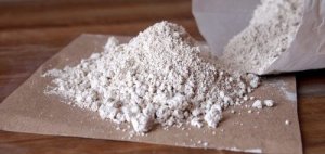 Bli av med loppor med diatomacéjord