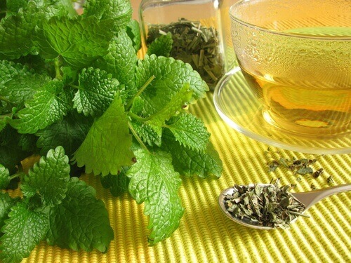 Citronmeliss minskar gaser