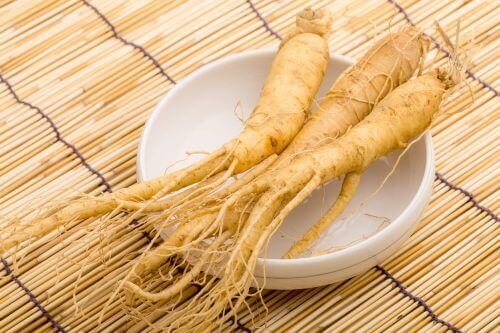 Färsk ginseng