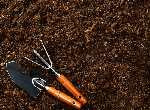 Förbered jorden