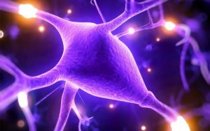 Magnesium förbättrar din mentala hälsa