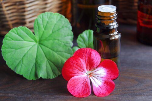 Pelargonolja stimulerar lymfsystemet