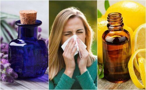 6 eteriska oljor som kontrollerar allergisymptom