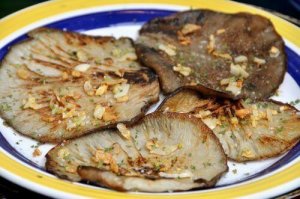 Stärk ditt immunförsvar naturligt med ostronmussling