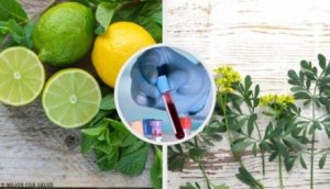 Carrulim – en naturlig kur med vinruta och citron