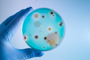 Farliga bakterier: 9 varianter att akta sig för