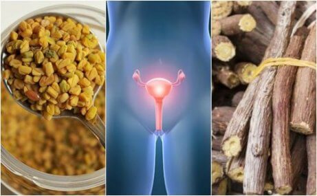 5 naturliga kurer för att hantera polycystiskt ovariesyndrom