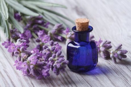 Lavendelolja stärker andra ingredienser