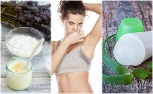 5 naturliga deodoranter som tar bort dålig lukt