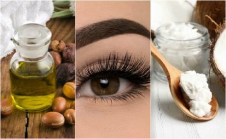 Vegetabiliska oljor för vackra ögonfransar