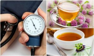 6 fantastiska örter som sänker blodtrycket