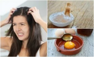 Bekämpa mjäll naturligt med dessa 5 huskurer