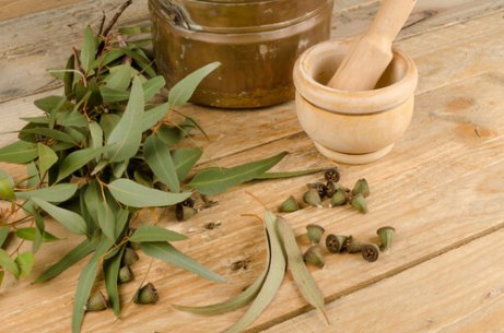 Eukalyptus är slemlösande