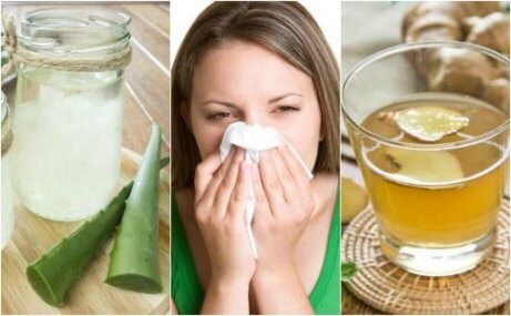 5 olika naturliga kurer mot allergisk rinit