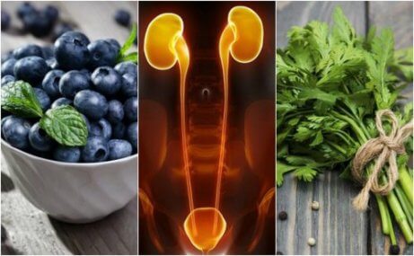7 livsmedel som kan skydda njurarna och blåsan