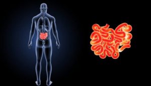 Vad innebär egentligen ljumskbråck?