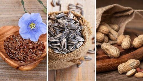 5 nyttiga fröer och deras enastående egenskaper